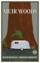 muir-woods